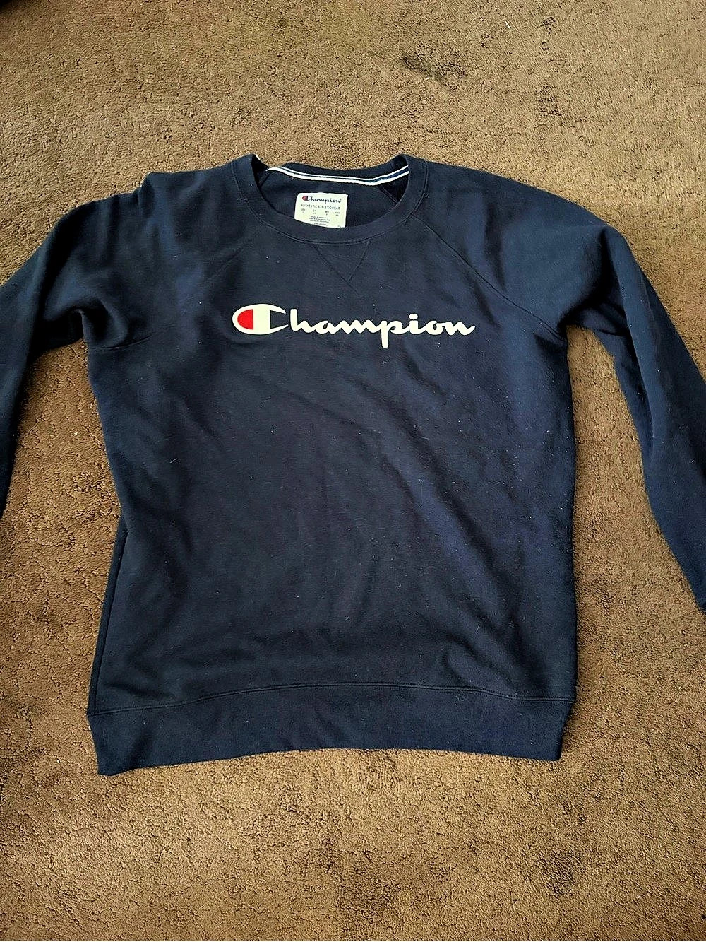 Champion Script Logo Crewneck Sweatshirt Blue Large